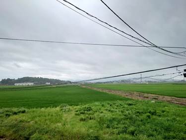 恵みの雨