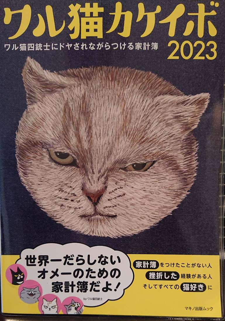 ワル猫カケイボ2023