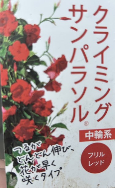 クライミングサンパラソル