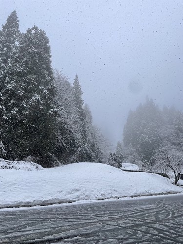 またまた雪が