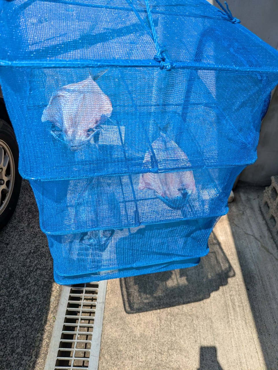 魚が、釣れ始める季節