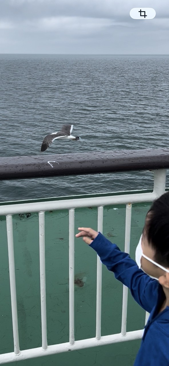 佐渡　お盆帰省
