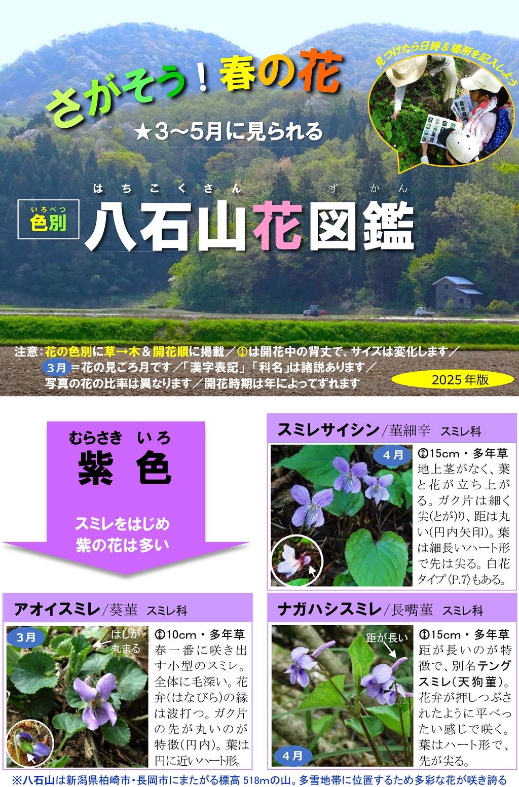 さがそう！春の花（3～5月に見られる）八石山花図鑑