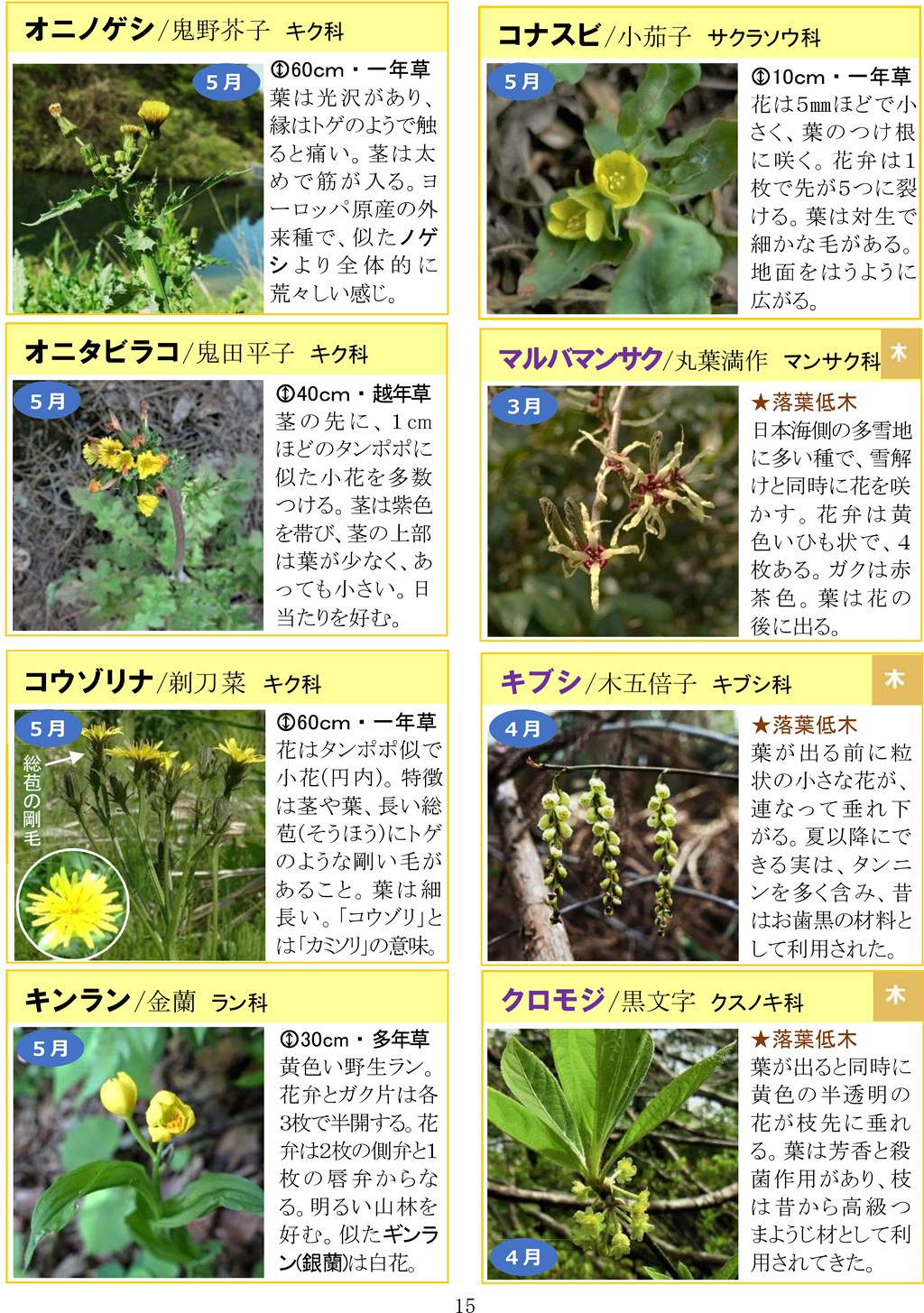 さがそう！春の花（3～5月に見られる）八石山花図鑑