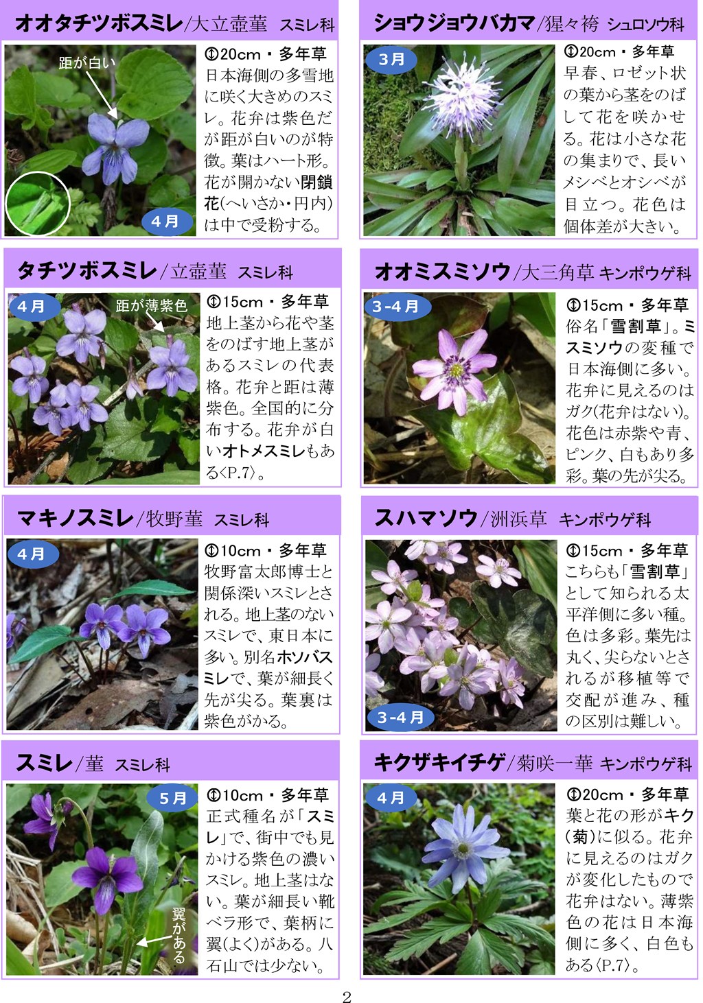 さがそう！春の花（3～5月に見られる）八石山花図鑑