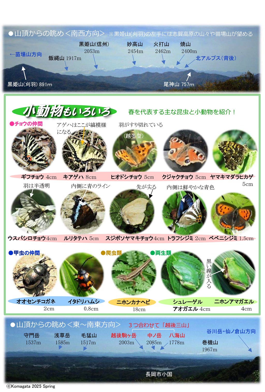 さがそう！春の花（3～5月に見られる）八石山花図鑑