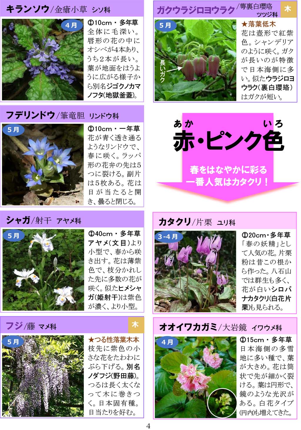 さがそう！春の花（3～5月に見られる）八石山花図鑑