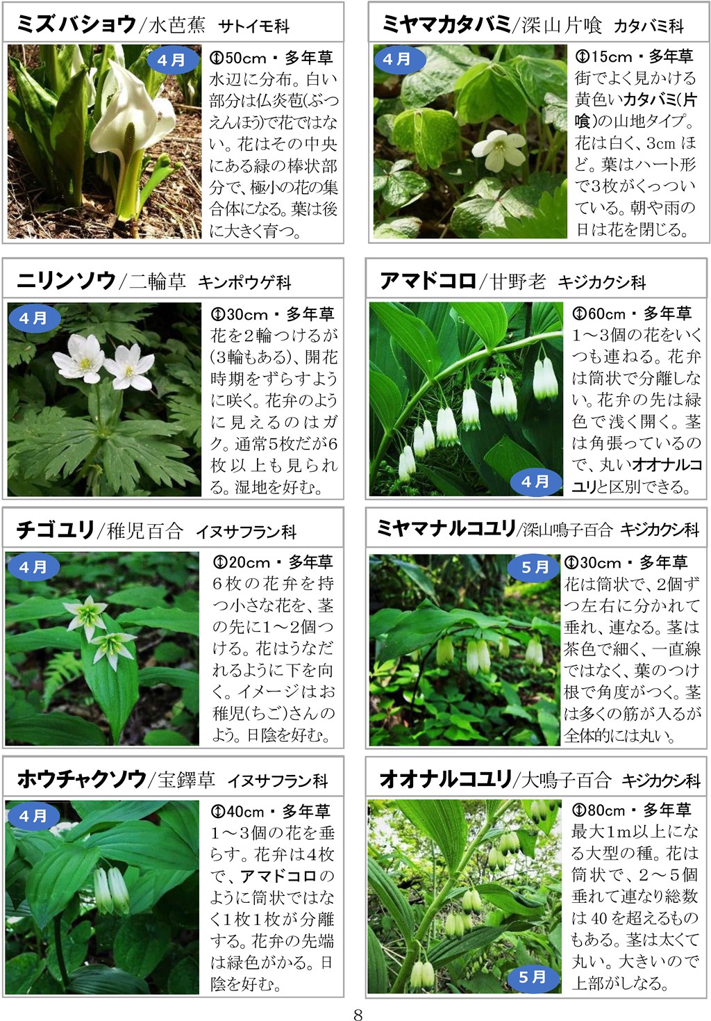 さがそう！春の花（3～5月に見られる）八石山花図鑑