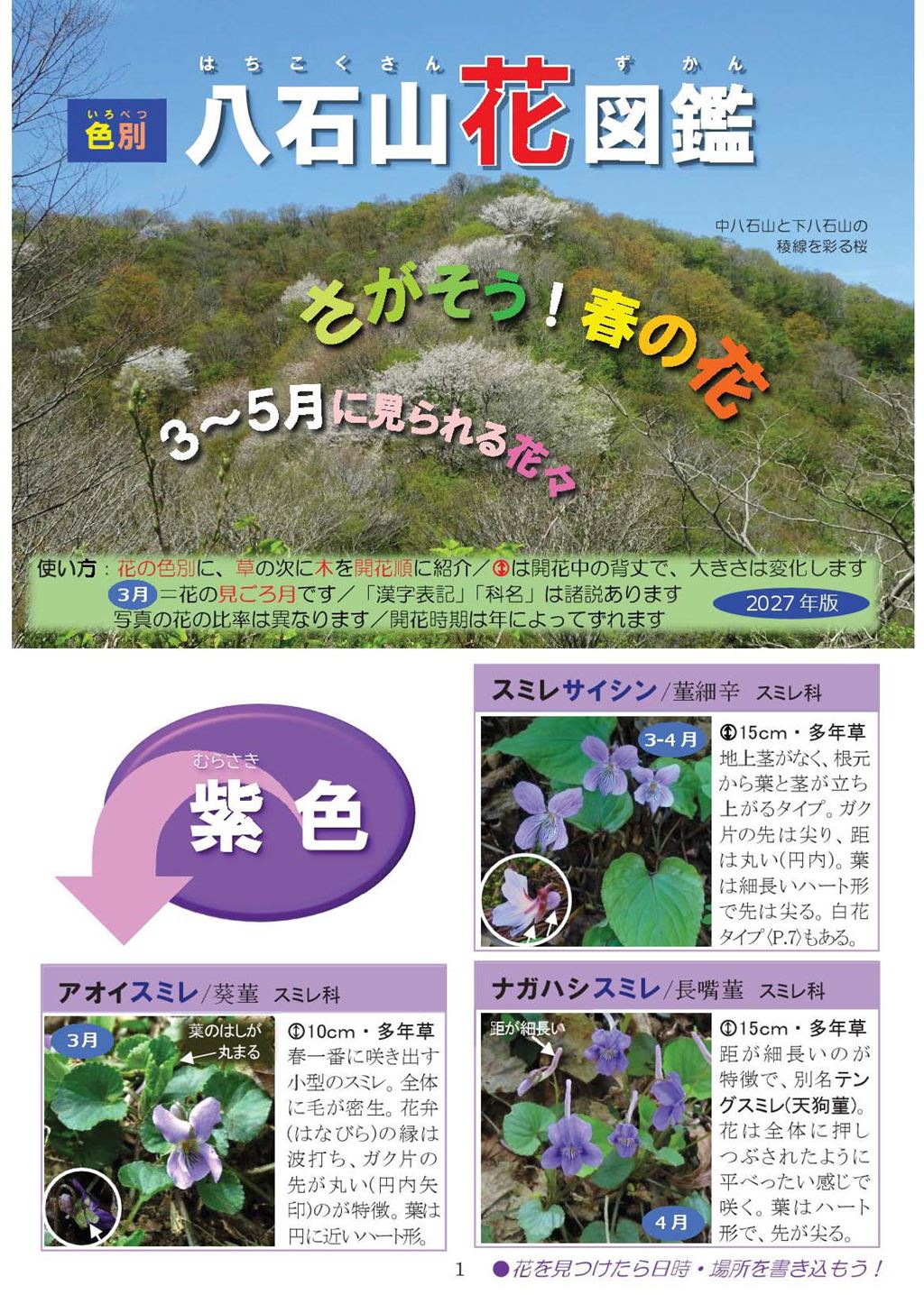 八石山花図鑑 さがそう！春の花（3～5月に見られる花々）2027年版-01